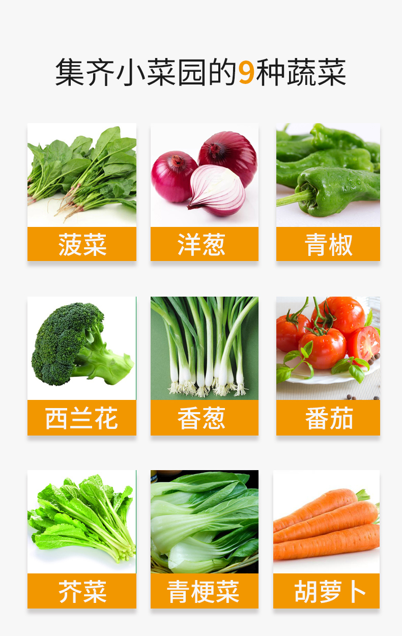 详情_02