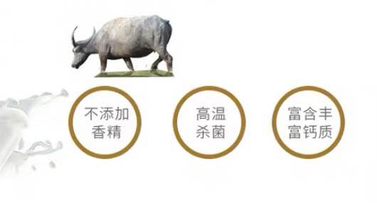 图片17