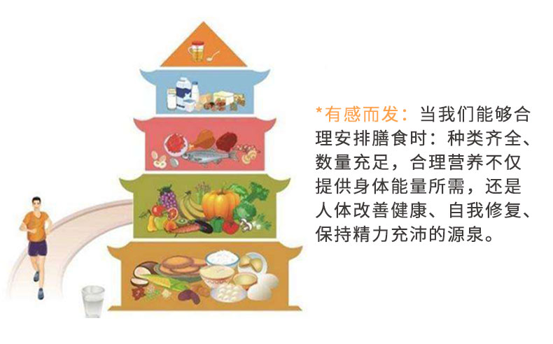 沛尔能_04