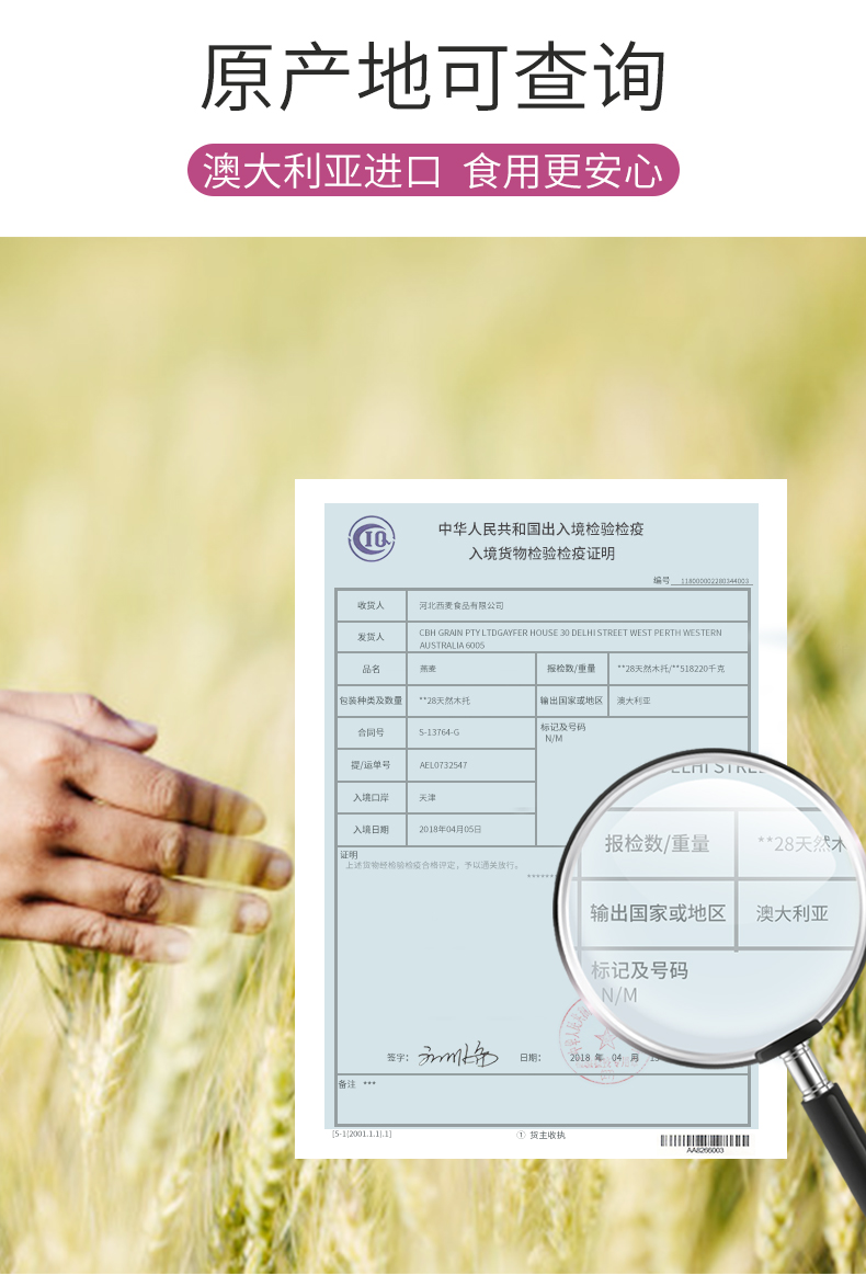 混合水果燕麦片_08