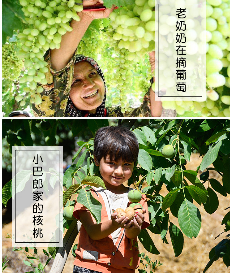混得好600g_05