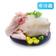 冷冻母鸡多种规格
