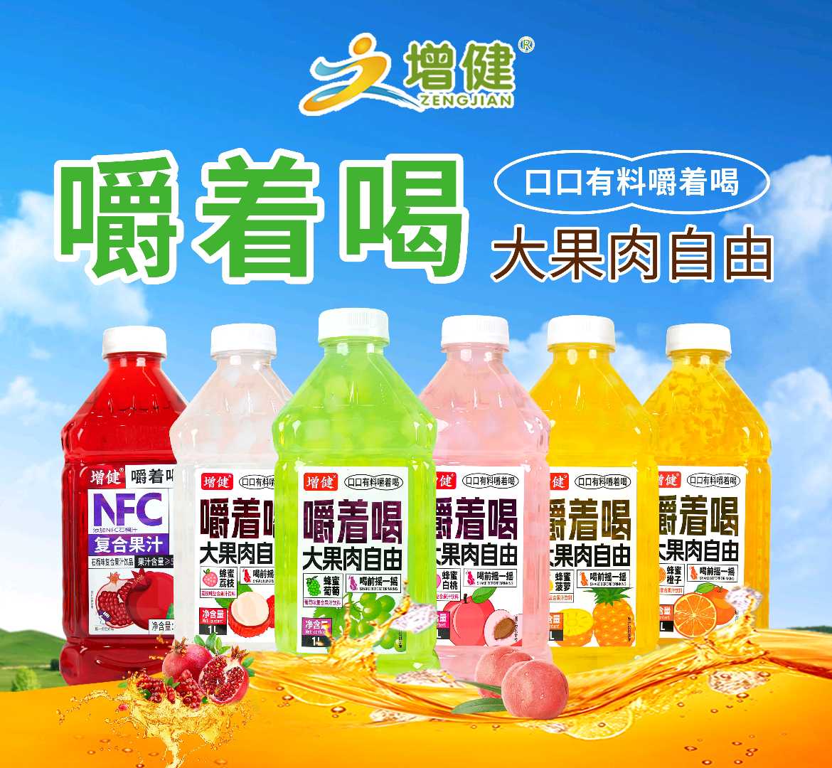 增健1升果肉果汁