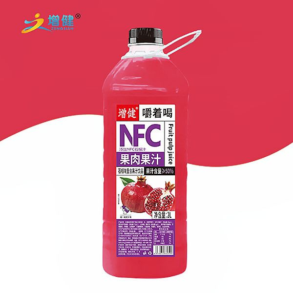 增健2升果肉果汁
